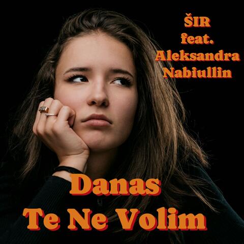Danas Te Ne Volim album art