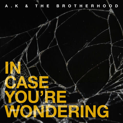In Case You're Wondering album art