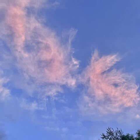 sweater weather album art