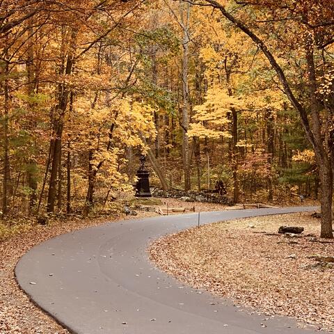 Travelin’ Man album art