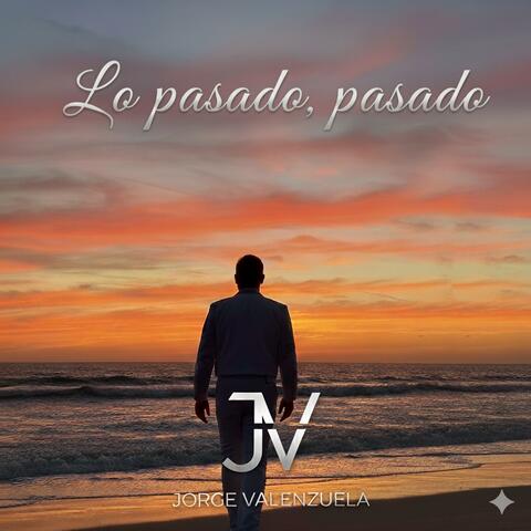 lo pasado pasado album art