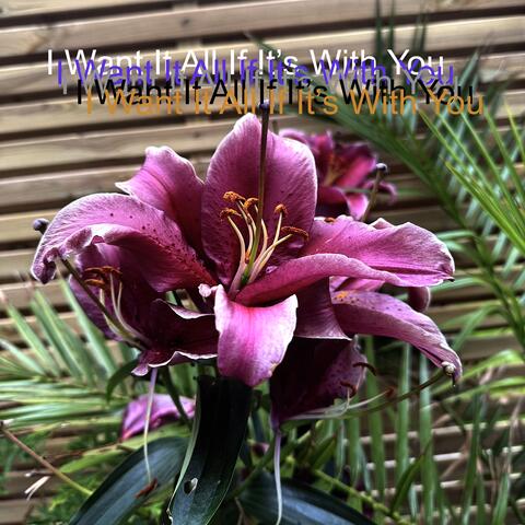 I Want It All If It's With You album art