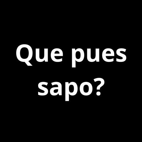 Que pues sapo? album art