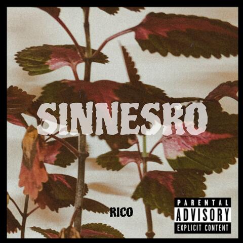 SINNESRO album art