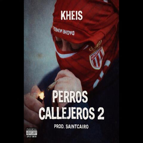 PERROS CALLEJEROS 2 album art
