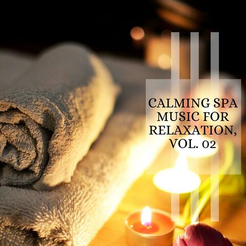 Calming Spa Music For Relaxation, Vol. 02 album art