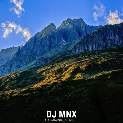 Calmminique Drift album art