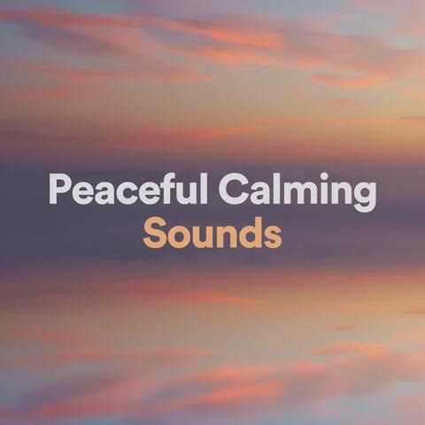 Peaceful Calming Sounds album art