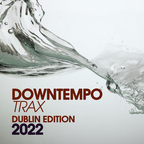 Downtempo Trax Dublin Edition 2022 album art