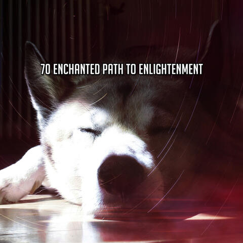 70 Enchanted Path To Enlightenment album art