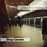 Image of Under the Feeling