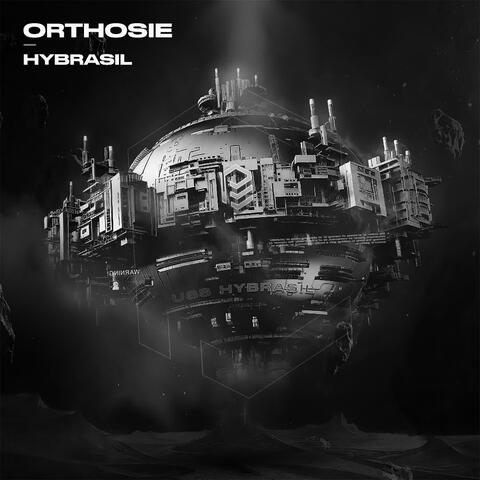 Orthosie album art