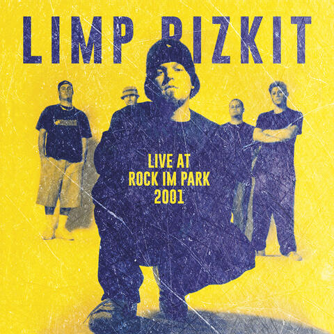 Live At Rock Im Park 2001 album art