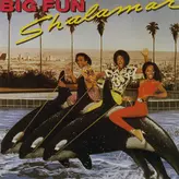 Image of Big Fun