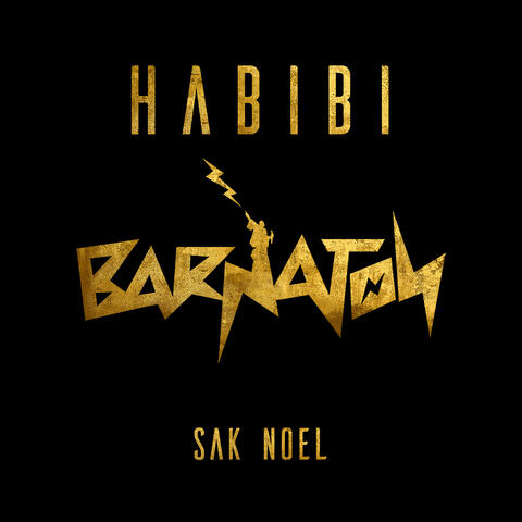 Habibi album art