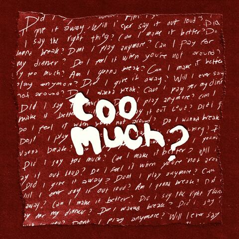 Too Much? album art