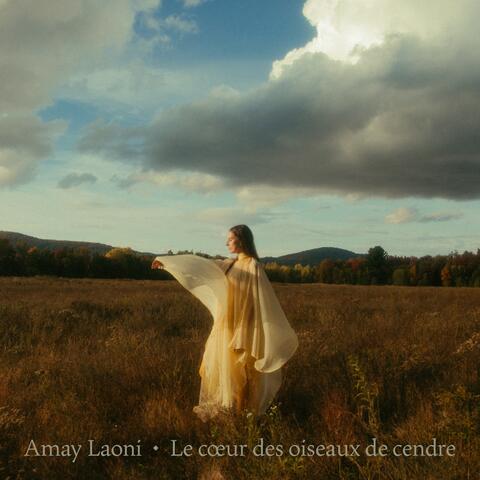 Le cœur des oiseaux de cendre album art