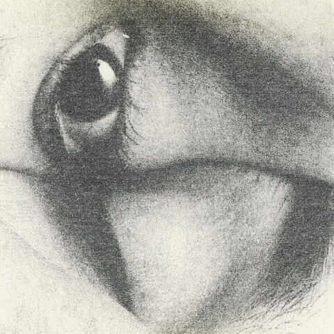 ... et le monde entier album art