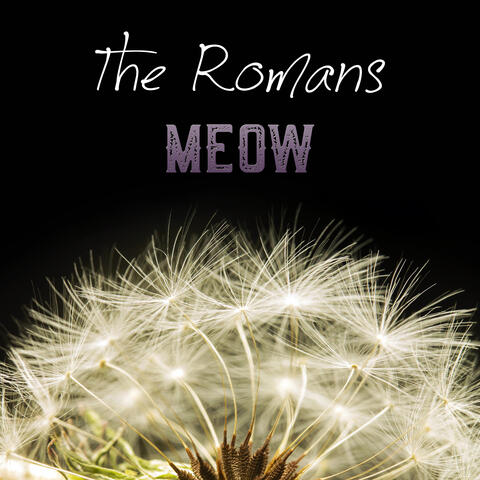 Meow album art