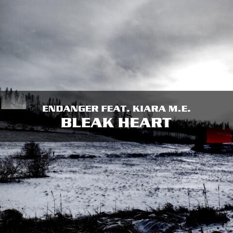 Bleak Heart album art