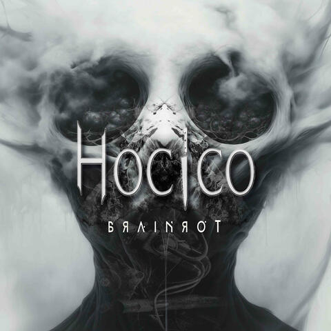 Brainrot album art