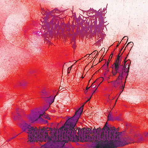 Rose Thorn Necklace album art