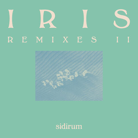 Iris (Remixes II) album art