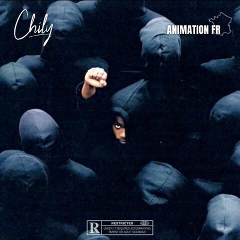 Animation FR album art