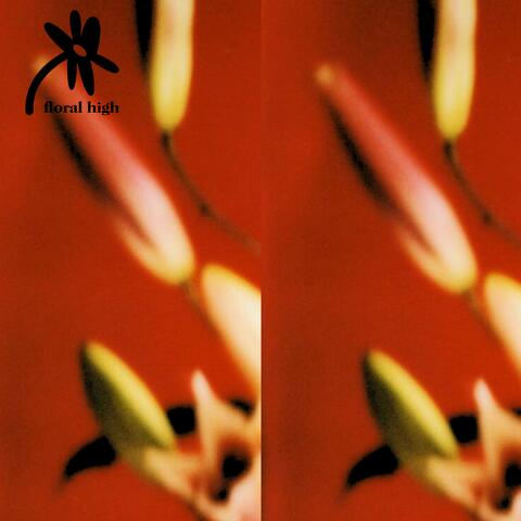 floral high album art