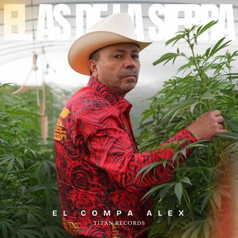 El Compa Alex album art