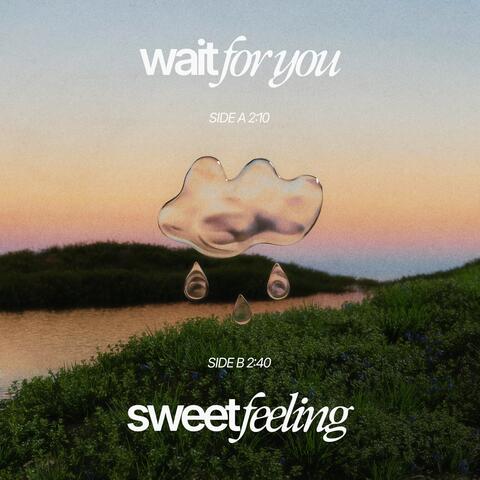 Wait For You / Sweet Feeling album art