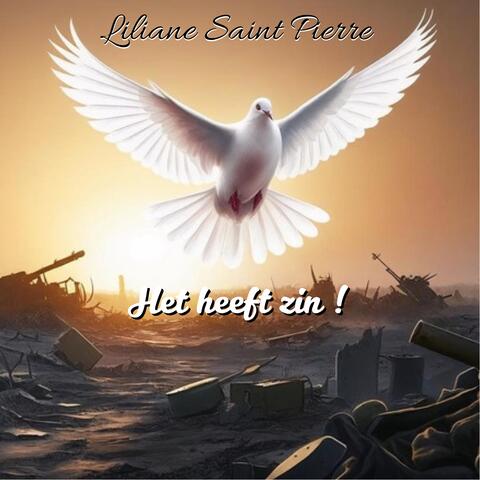 Het heeft zin album art