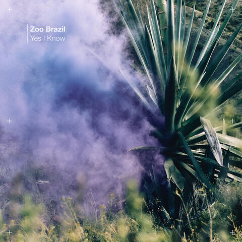 Yes I Know album art