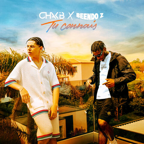 Tu Connais album art
