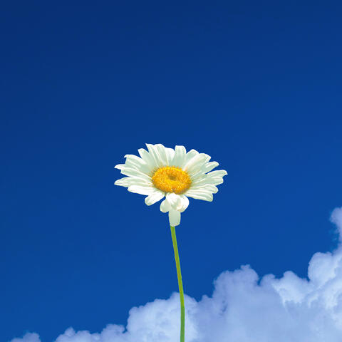 Beautiful Day album art