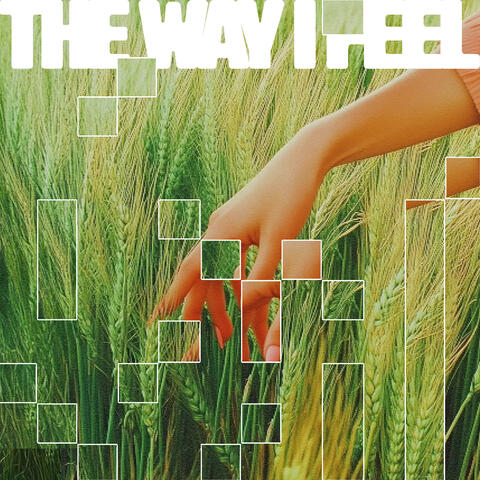 The Way I Feel album art