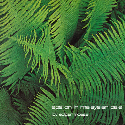 Epsilon In Malaysian Pale album art