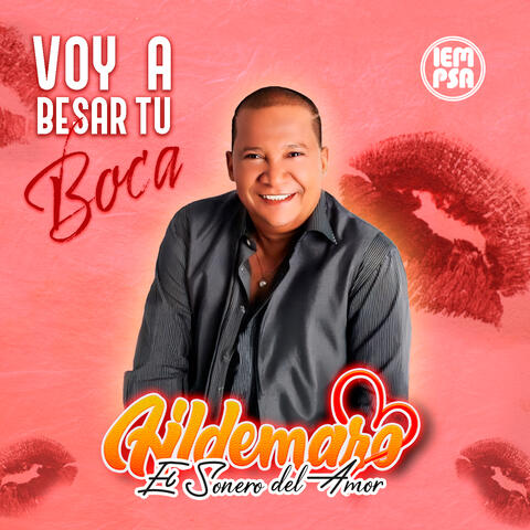 Voy a Besar tu Boca album art