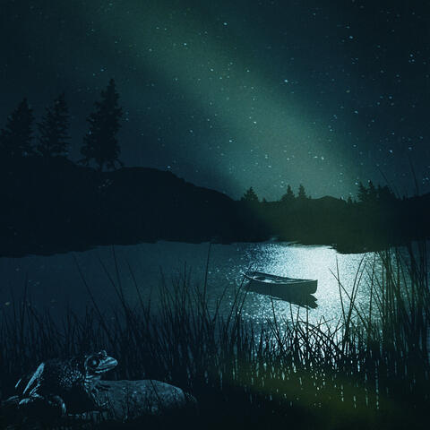 Summer Nights album art