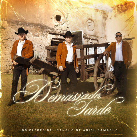 Demasiado Tarde album art
