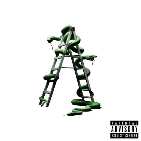 Snakes & Ladders album art