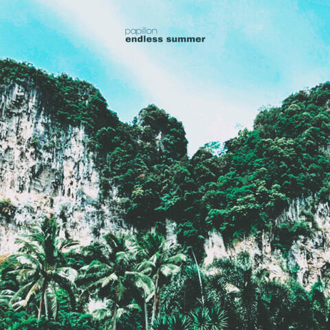 endless summer album art