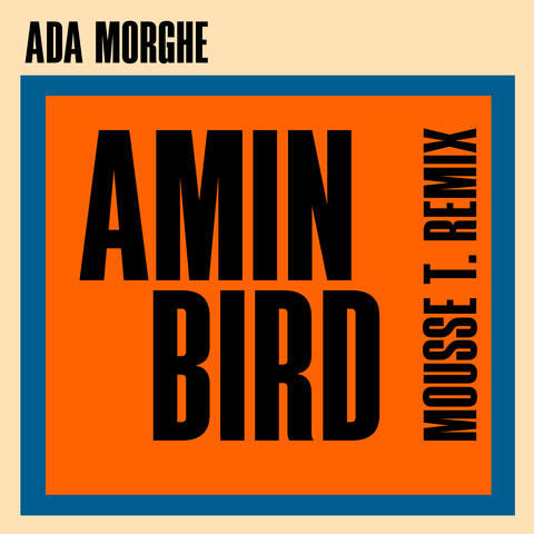 Amin Bird album art