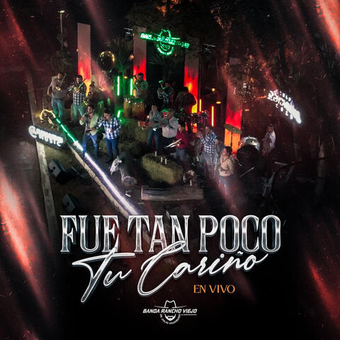Fue Tan Poco Tu Cariño album art