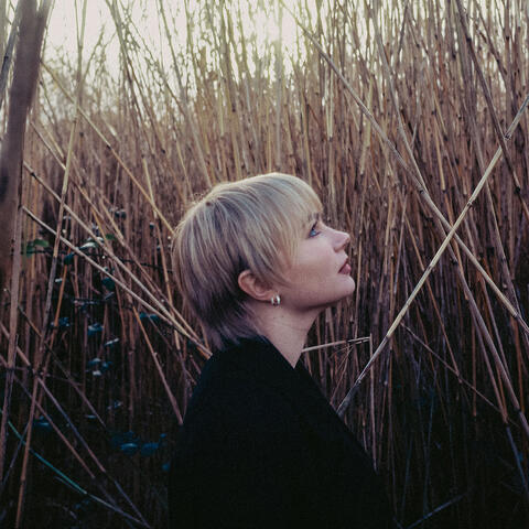 Lavender album art