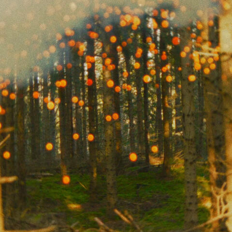 Intangible album art