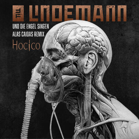 Und die Engel singen album art