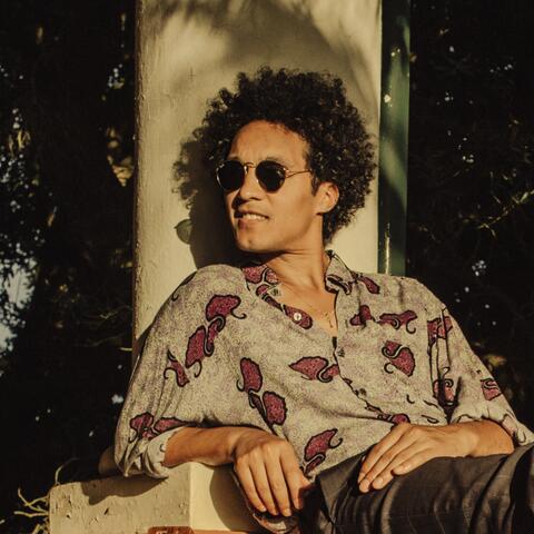 While The Sun Shines album art