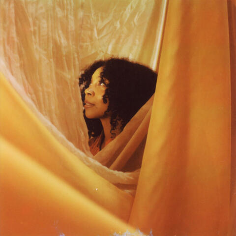 Shy Girl album art