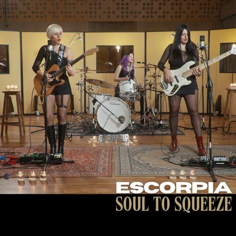 Soul To Squeeze album art